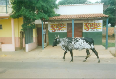 Abadiânia